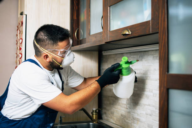 Best Best Pest Control Companies  in Morrow, GA