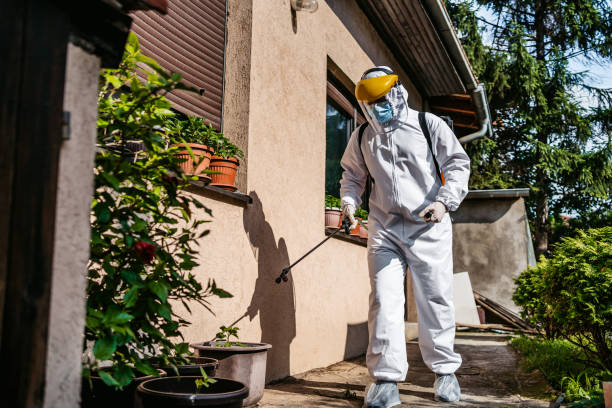 Pest Prevention Services in Morrow, GA