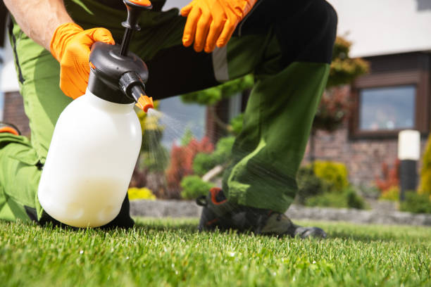 Best Wildlife Control Services  in Morrow, GA