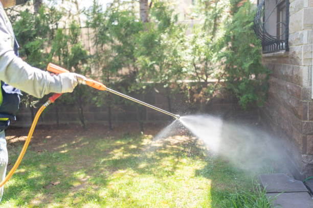Best Cockroach Control Services  in Morrow, GA