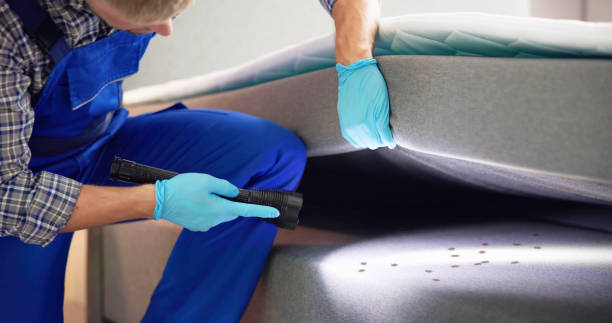 Best Pest Control for Homes  in Morrow, GA