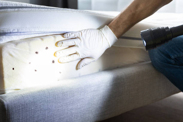 Best Residential Pest Control  in Morrow, GA