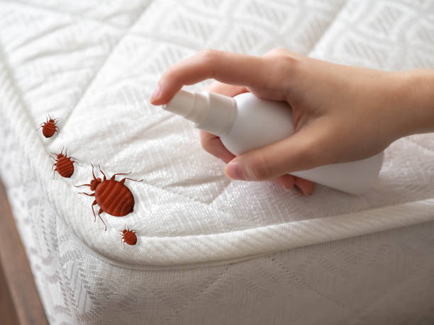 Best Affordable Pest Control Services  in Morrow, GA