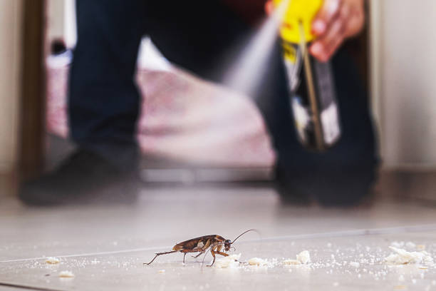 Best Exterminator Services  in Morrow, GA