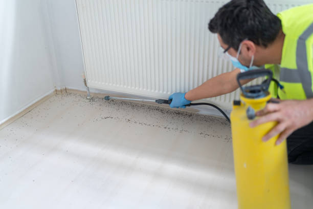 Best Affordable Pest Control Services  in Morrow, GA
